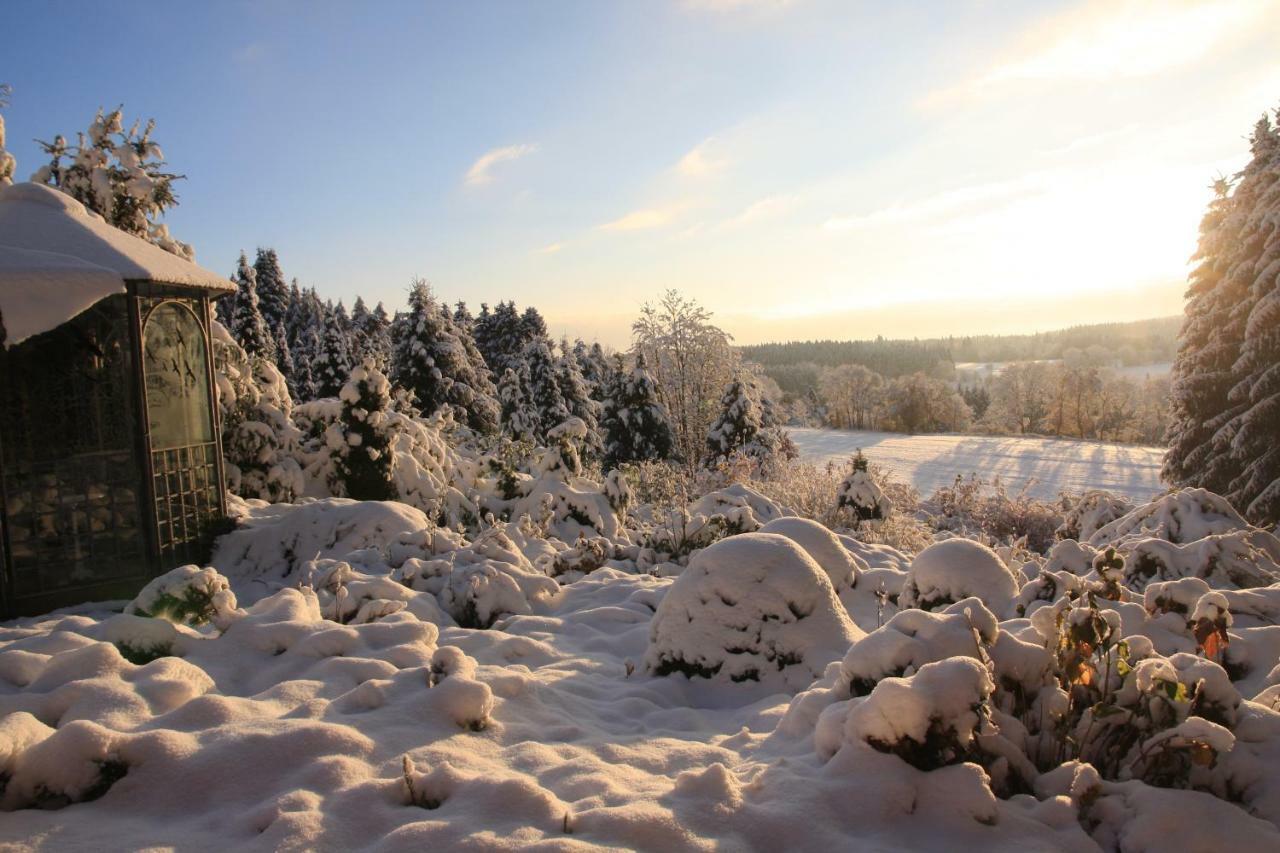 Ferienhaus Sonne, Harz Und Sterne Villa Hohegeiß Kültér fotó