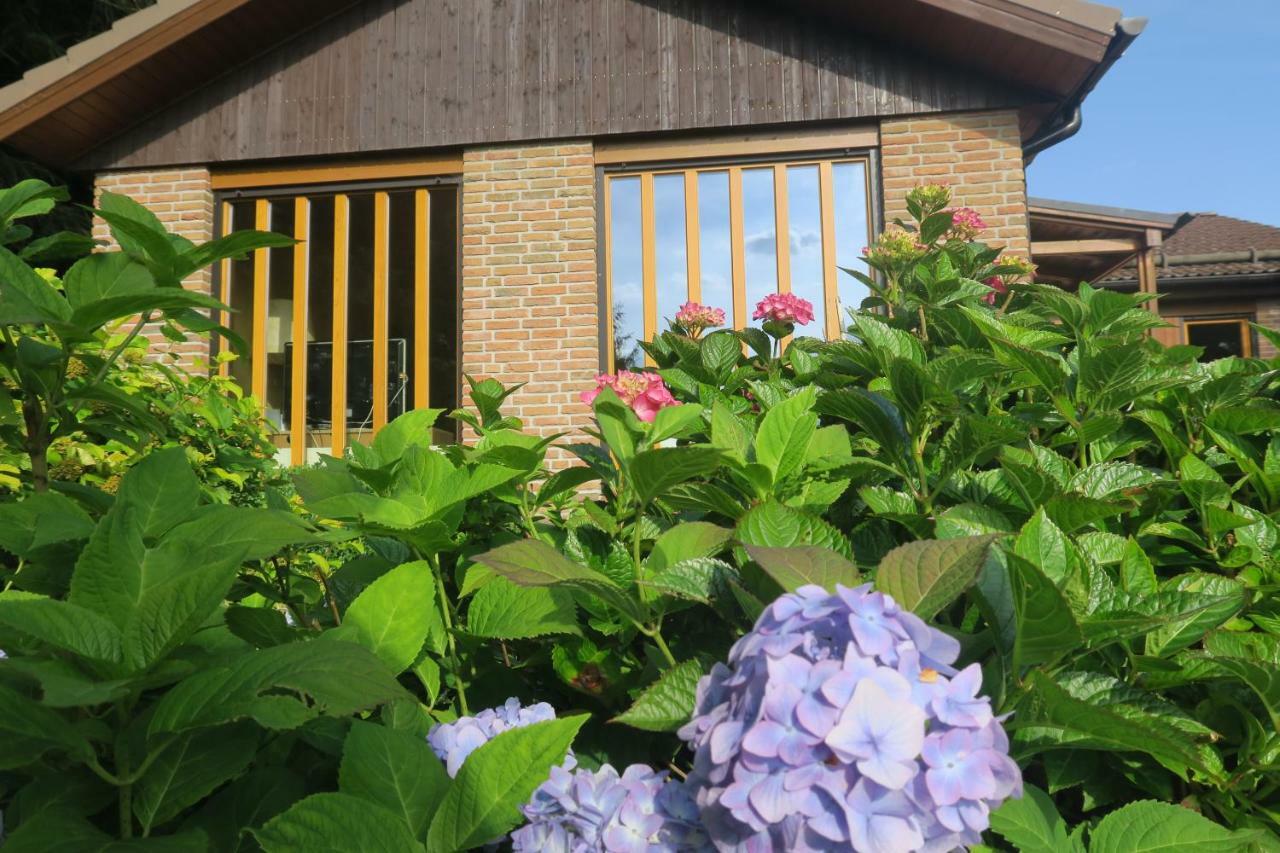 Ferienhaus Sonne, Harz Und Sterne Villa Hohegeiß Kültér fotó